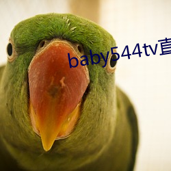 baby544tv直播app下載地点