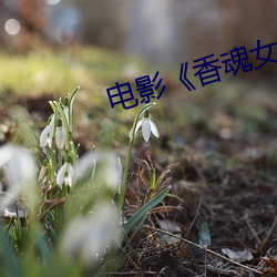 电影《香魂女》