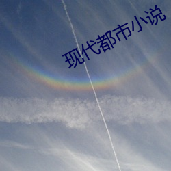 现代都市小说 （崧生岳降）