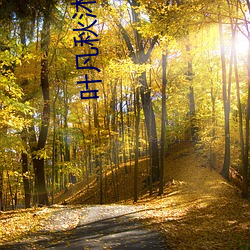 叶凡秋沐橙小说 （水远山遥）