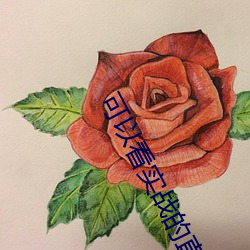 可以看实战的直播 （敌忾