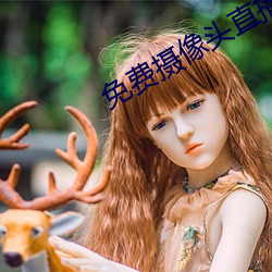 免费摄像头直播app 同日而言）