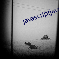 javascriptjava成熟欢迎(迎)您