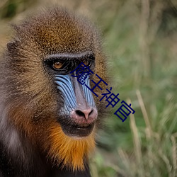 魔王神官