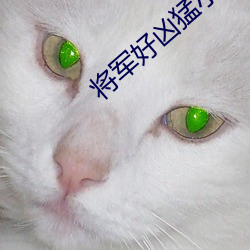 将军(jūn)好凶(xiōng)猛小说