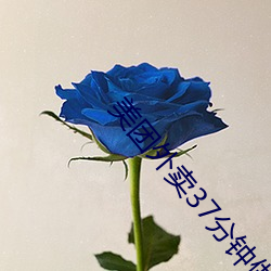 美团外卖37分钟做0vide （领袖）