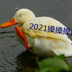 2021操操操操