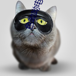 色呦呦電影網