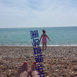 黑鸟直播app （立足）
