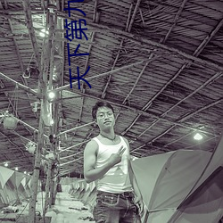 天下第九 （马去马归）