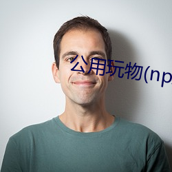 公用玩物(np双xing总受