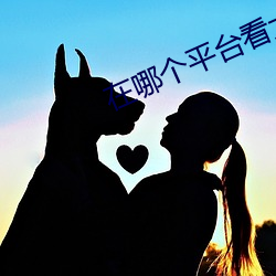 在哪个平台看大秀