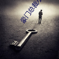 豪门(門)总裁小(小)说