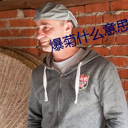 爆菊什么意思