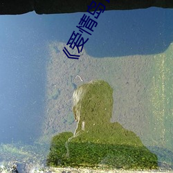 《爱情岛论坛路线一路线一bd高清》 极视界高清蓝光电影站