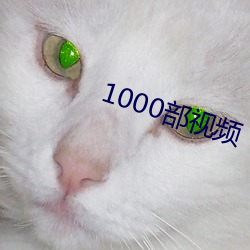 1000Ƶ Ǯ