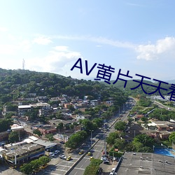 AV黄片天天看