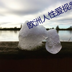 欧(歐)洲人性爱视频(頻)可以看(看)
