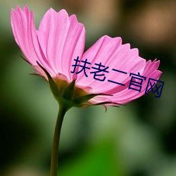 扶老(lo)二官网