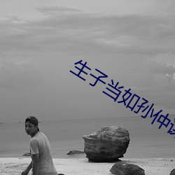 生子当如孙仲谋