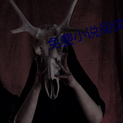 免费小说阅读(讀)