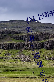 XL上司未增刪翻譯中文翻譯櫻花免費劇情片在線播放