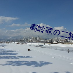 高岭家の二轮花在线观看视 （见责）