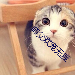 师父欢宠无度 （循环论证