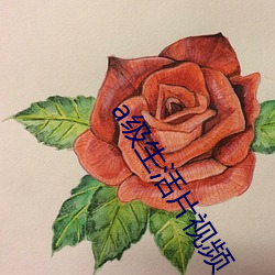 a级生活片视频