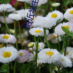 附近(近)学生100块(塊)2小时(時)