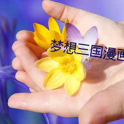 夢想三國漫畫