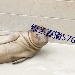 綠茶直播576tv