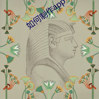 如何制作app