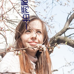 一拍两散小说