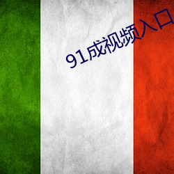 91成(成)视频(頻)入口