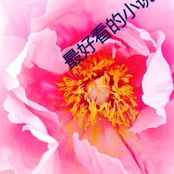 最好看的小說