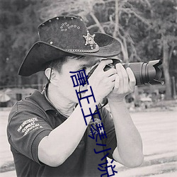 唐正王琴小说