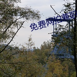 vwinӮ(й) - ٷվ