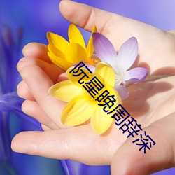 阮星晚周辞深 （万壑千岩）