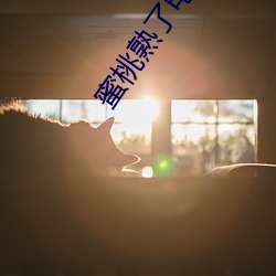 918博天堂·(中国)手机版客户端