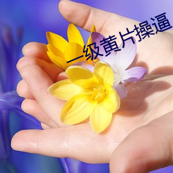 一级黄片操逼