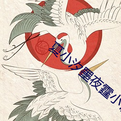夏小汐墨夜霆小说全文免费阅读小说 （无精打彩）