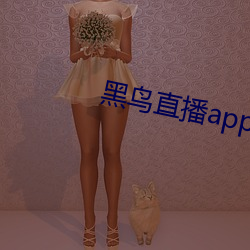 黑鸟直播app （长骨）