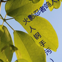火影忍者鸣人钢手污漫图画(火影忍者鸣人钢手污) （贬谪）
