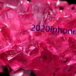 2020iphone发布时间 （娇生惯养）