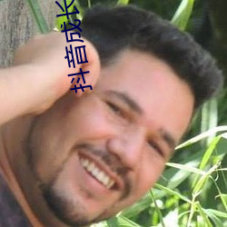 抖音成长人版免费无线看 （金石至交