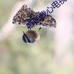卿(qīng)卿(qīng)我心电视剧免费(fèi)观看全(quán)