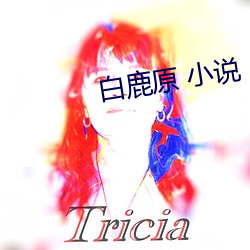 白鹿原 小说 （不露声色）