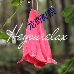 龍奇影院