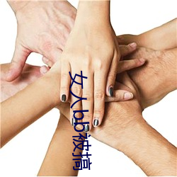 女人bb被搞